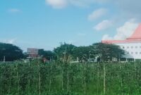 Pojok hortikultura yang merupakan salah satu inovasi dari Setwan DPRD Provinsi Maluku Utara.