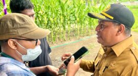 Sekretaris Daerah, Muhlis Soamole saat diwawancarai wartawan. 