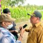 Sekretaris Daerah, Muhlis Soamole saat diwawancarai wartawan. 