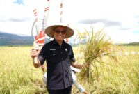 Pj Sekda Malut, Abubakar Abdullah. 