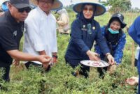 Asisten II Setda Malut, Sri Haryati Hatari. 