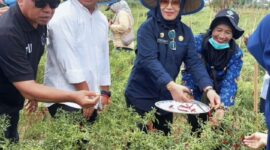 Asisten II Setda Malut, Sri Haryati Hatari. 