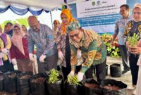 Pj Sekda dan Plt Kadikbud Malut saat melakukan pencanangan menanam kangkung. 