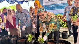 Pj Sekda dan Plt Kadikbud Malut saat melakukan pencanangan menanam kangkung. 