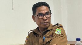 Sofyan Kamarullah
