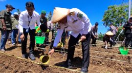 Pj Gubernur lakukan penanaman pada program gugas ketahanan pangan Polri.