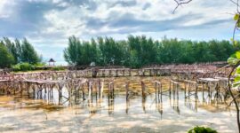 Kondisi terkini Jembatan Love Dodola Morotai. 