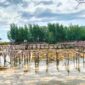 Kondisi terkini Jembatan Love Dodola Morotai. 