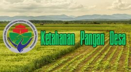 Program ketahan pangan desa. 