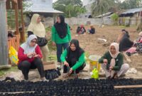 Aktifitas menanam di pekarangan rumah demi menjaga ketahanan pangan yang digagas oleh TP PKK Kabupaten Kepulauan Sula. 