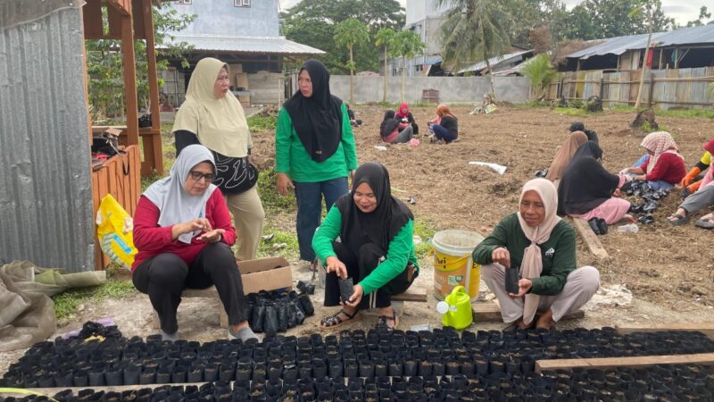 Aktifitas menanam di pekarangan rumah demi menjaga ketahanan pangan yang digagas oleh TP PKK Kabupaten Kepulauan Sula. 