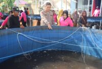 Kapolresta Tidore, AKBP Heru Budiharto, bersama ketua pembina Bhayangkari Tidore, Yuni Heru saat panenan ikan nila. 