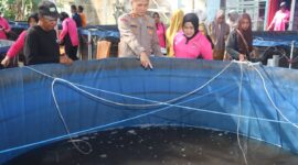 Kapolresta Tidore, AKBP Heru Budiharto, bersama ketua pembina Bhayangkari Tidore, Yuni Heru saat panenan ikan nila. 