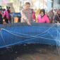 Kapolresta Tidore, AKBP Heru Budiharto, bersama ketua pembina Bhayangkari Tidore, Yuni Heru saat panenan ikan nila. 