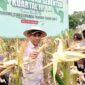 Panen Raya Jagung Serentak Kuartal III di Desa Ake Kolano, Kecamatan Oba Utara, dihadiri oleh Asisten Setda Bidang Perekonomian dan Pembangunan, Taher Husaen, mewakili Wali Kota Tidore. 
