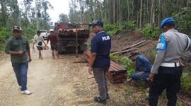 Tim gabungan menemukan kayu ilegal di Halmahera Timur, langsung diamankan oleh pihak kepolisian. 