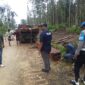 Tim gabungan menemukan kayu ilegal di Halmahera Timur, langsung diamankan oleh pihak kepolisian. 