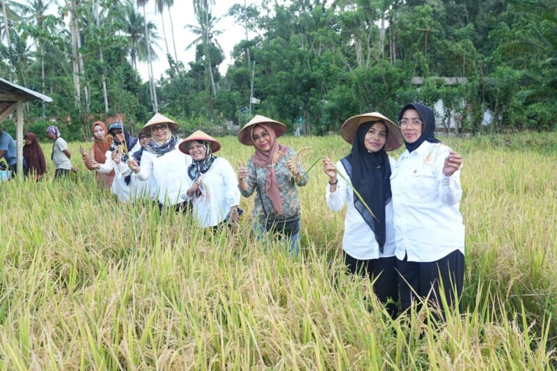 Dorong program pertanian demi terwujudnya swasembada pangan. 