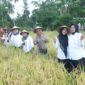 Dorong program pertanian demi terwujudnya swasembada pangan. 
