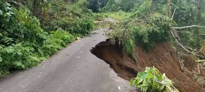 Tanah longsor nyaris sebabkan jalan terputus di Halmahera Barat. 