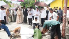 Bupati Sula, Fifian Adeningsi Mus pantau langsung pemotongan hewan kurban di Kota Sanana.