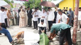 Bupati Sula, Fifian Adeningsi Mus pantau langsung pemotongan hewan kurban di Kota Sanana. 