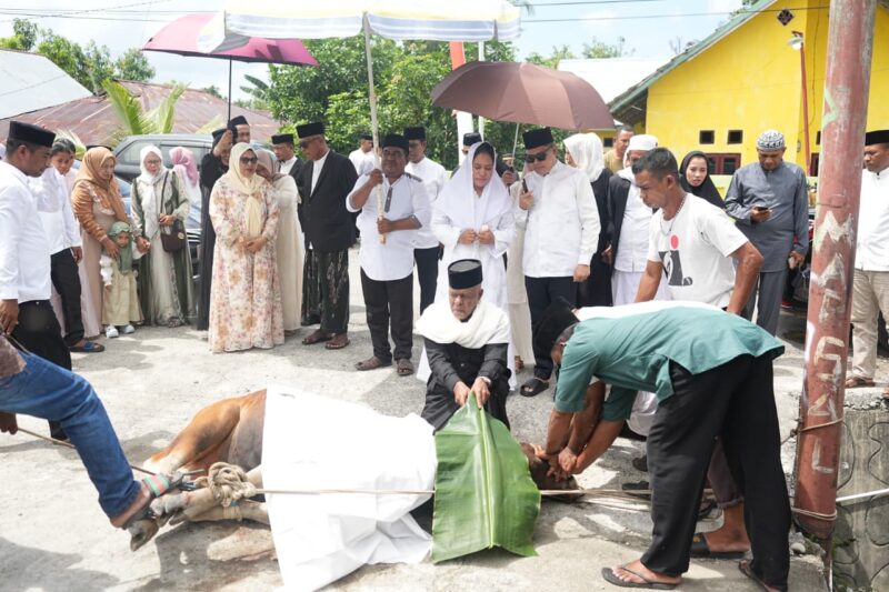 Bupati Sula, Fifian Adeningsi Mus pantau langsung pemotongan hewan kurban di Kota Sanana. 