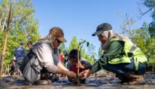 Mahasiswa KKN UGM bersama Insan Harita, Komunitas Tongke, serta pelajar setempat bahu-membahu menanam bibit mangrove di pesisir Desa Soligi, Pulau Obi, Halmahera Selatan.