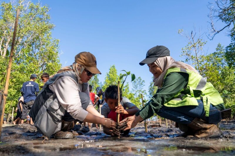 Mahasiswa KKN UGM bersama Insan Harita, Komunitas Tongke, serta pelajar setempat bahu-membahu menanam bibit mangrove di pesisir Desa Soligi, Pulau Obi, Halmahera Selatan.